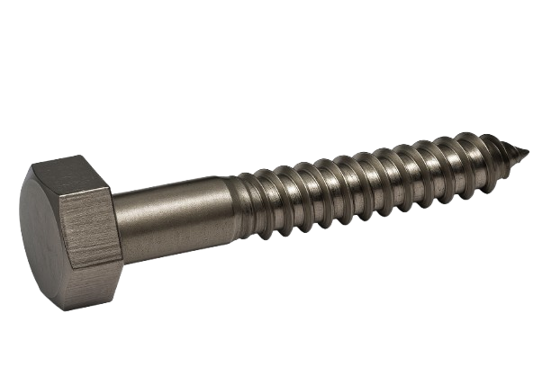 Hexagonal Lag Screw Stainless Steel 3/8 * 1"